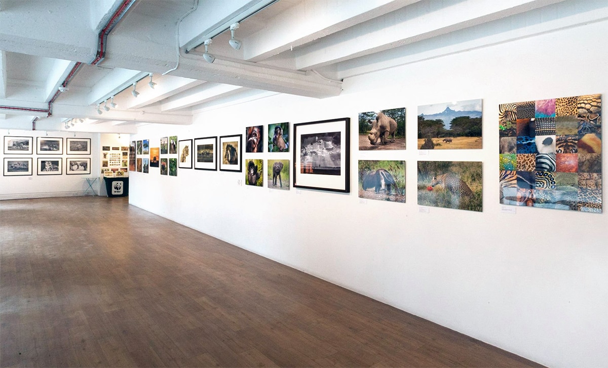 Images by Roger Hooper, presented at Gallery@OXO.