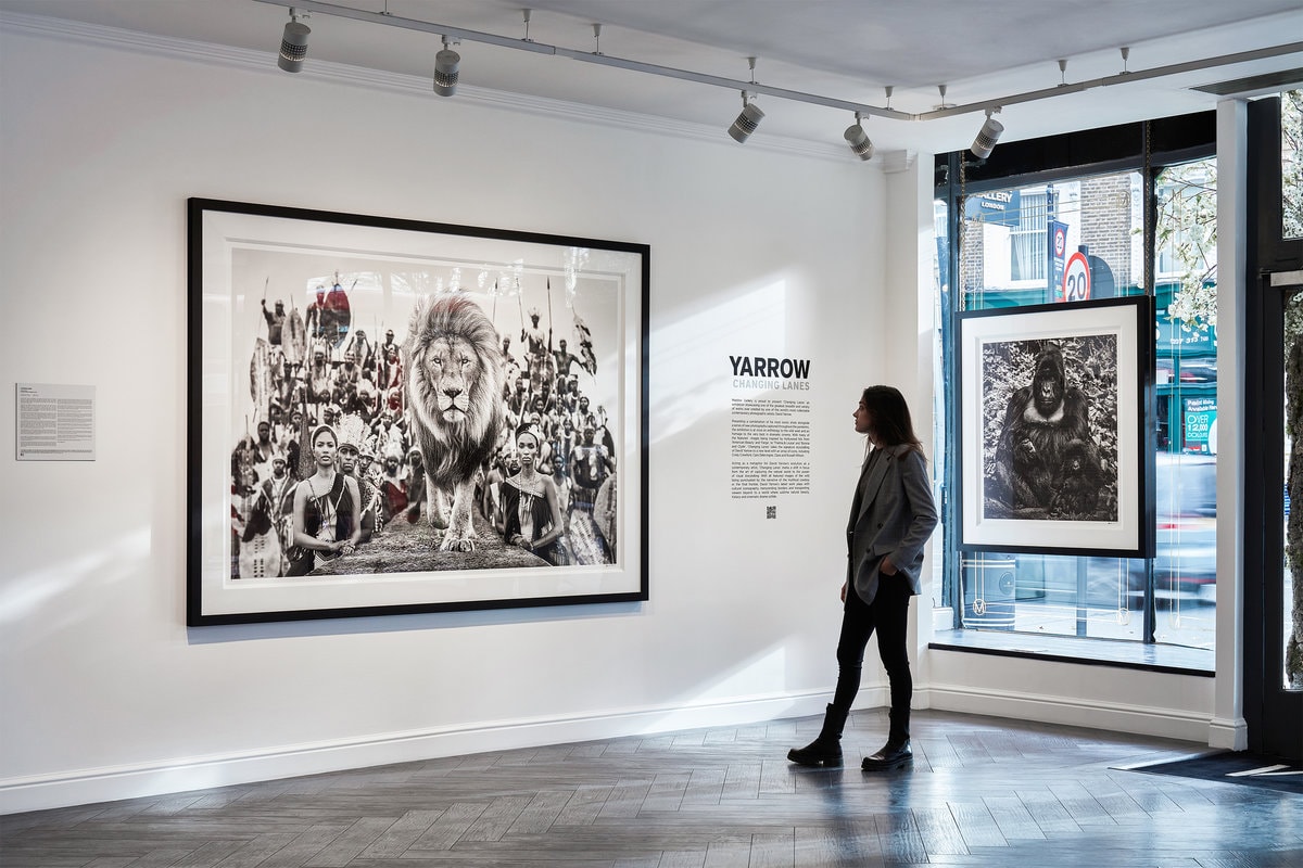 David Yarrow Exhibition at Maddox Gallery, Westbourne Grove